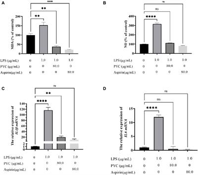 Integrating network pharmacology and experimental verification to reveal the anti-inflammatory ingredients and molecular mechanism of pycnogenol